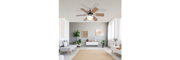 Ventilator