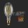E27-24W 160LM/WATT-LED FILAMENT BULB-CLEAR COVER-6400K-EVOLUTION