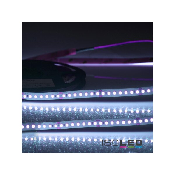 LED CRI Food Flexband Fish, 24V DC, 14,4W, IP20, 5m Rolle, 140 LED/m