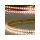 LED HEQ927 Flexband High Bright, 24V DC, 12W, IP20, 2700K, 140 lm/W, 5m Rolle, 160 LED/m