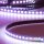 LED RGB Linear10 Flexband, 24V DC, 12W, IP20, 5m Rolle, 120 LED/m
