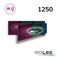 ICONIC Bild-Infrarotheizung 1250, 160x60cm, 1000W