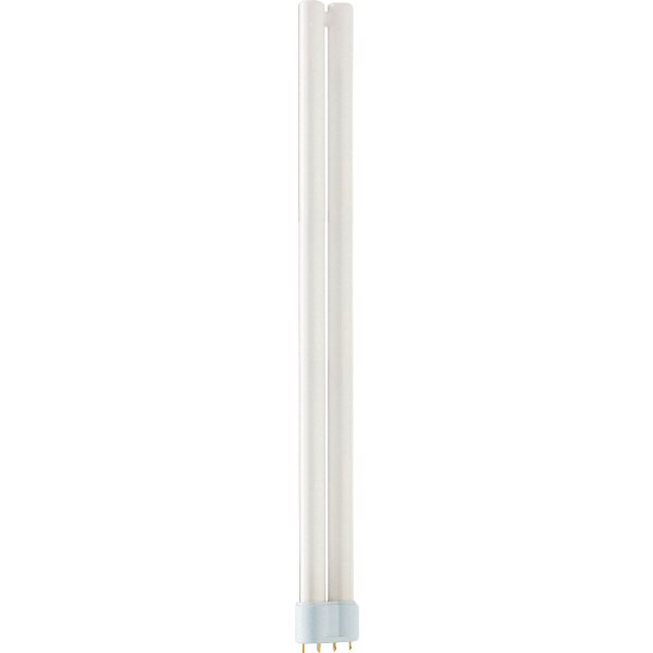 MASTER PL-L XTRA POLAR 36W/830/4P 1CT/25