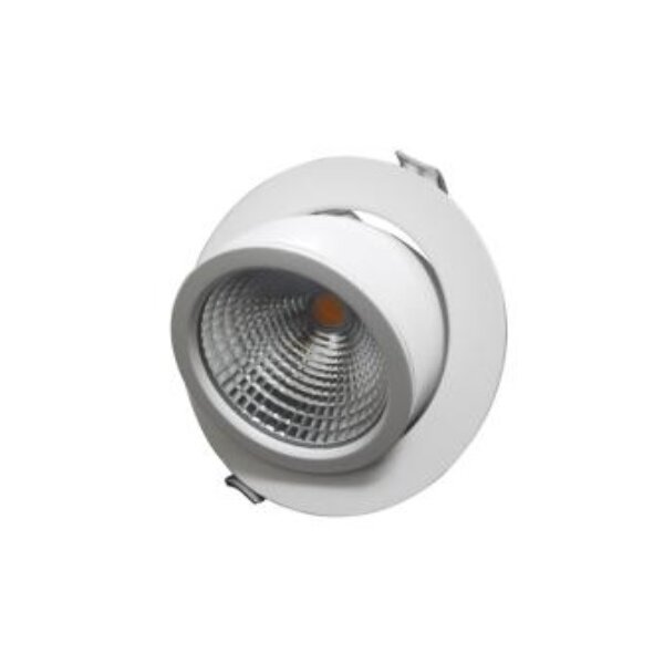 LED Downlight 38W mit COB Chip, 2900 lm, 60° Abstrahlwinkel, dreh und schwenkbar, cut-out 165-180mm